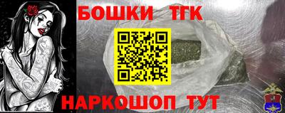 МДПВ Пугачёв