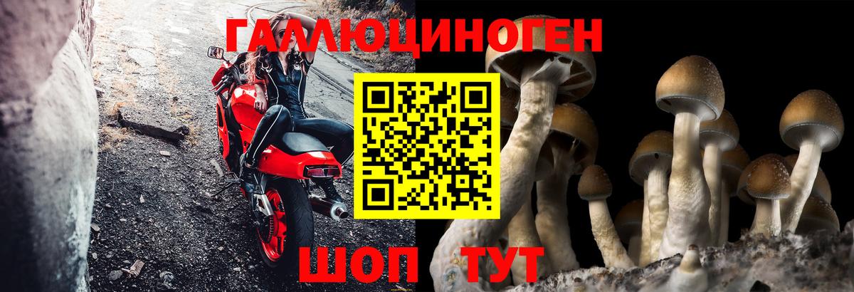 Псилоцибиновые грибы MAGIC MUSHROOMS Саров
