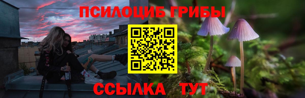 Саров  Галлюциногенные грибы MAGIC MUSHROOMS  Псилоцибиновые грибы мухоморы  Вход с VPN 